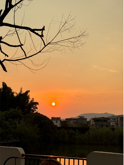 undefined 圖片