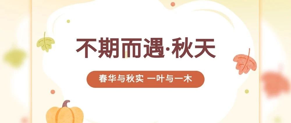 行順?lè)迳?- 賞秋日之景